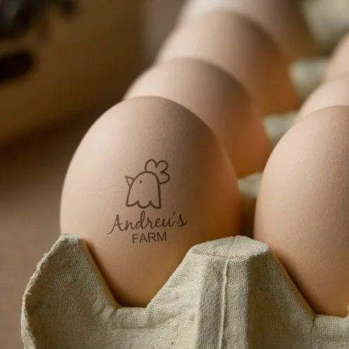 Miniatura 6 de Sellos de huevos personalizados para huevos frescos, personaliza tus huevos frescos de granja con sello de huevo personalizado, fácil de usar