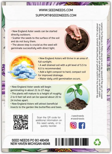 Miniatura 2 de Seed Needs Semillas Aster de Nueva Inglaterra para plantar, reliquia y flores silvestres polinizadas abiertas para plantar y cultivar un jardín