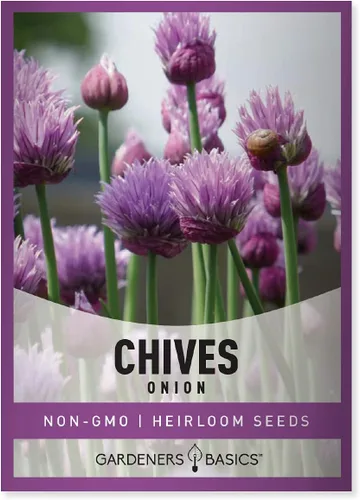 Las semillas de cebollino para plantar son una reliquia, variedad de hierbas sin OMG, semillas de hierbas de cebolla común, ideales para jardinería