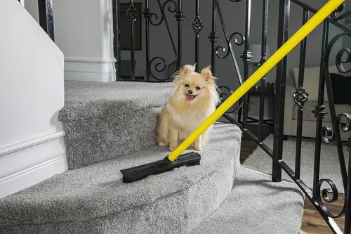 Miniatura 4 de FURemover Escoba de goma original para pelo de mascota con escoba, con mango telescópico de 58 pulgadas para alfombras, azulejos y madera dura