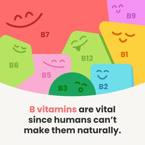 Miniatura 4 de NutraChamps Complejo de vitamina B para niños, B1, B2, B3, B6, B7, B9 y metilo B12, suplemento de gotas líquidas del complejo B para niños, energía
