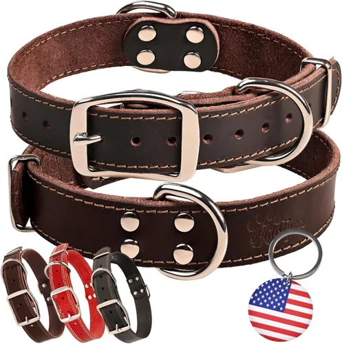 ADITYNA Collar de Cuero Resistente para Perros Medianos - Collar Suave y Fuerte para Caminar, Entrenar, Senderismo y Correr (Mediano: Se Ajusta a