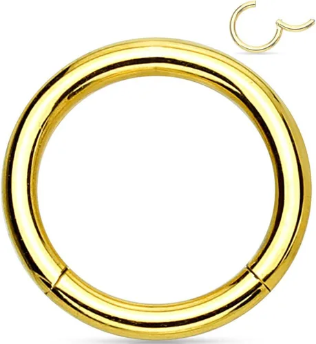 Miniatura 81 de Forbidden Body Jewelry - Piercing para la nariz de acero quirúrgico 316L con bisagra, 14G, 16G, 18G, diámetro de 15/64, 5/16, 25/64, 15/32 pulgadas