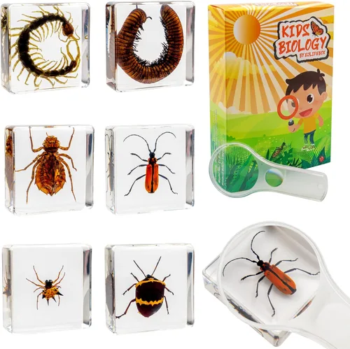 Miniatura 7 de Juego de muestras de insectos, colección de insectos, regalo educativo científico para niños de 3 a 8 a 12 años