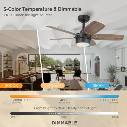 Miniatura 3 de Ventilador de techo de 36 pulgadas para habitación pequeña: Ventiladores de techo modernos con control remoto de luz - Motor CC silencioso