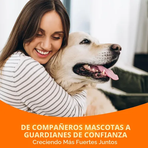 Miniatura 8 de PUAINTA Limpiador de oídos para perros, gotas naturales para oídos de perro y tratamiento de infecciones, solución de limpieza de oídos de perro