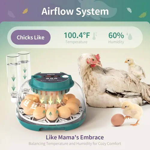 Miniatura 3 de Incubadora automática de huevos para incubar huevos con pantalla LED de temperatura, control de humedad y volteador de huevos, incubadora de tapa