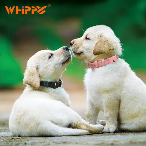 Miniatura 5 de WHIPPY Collar de cuero para perro pequeño y mediano, ajustable, suave, transpirable, de cuero, acolchado, con hebilla de aleación, resistente al