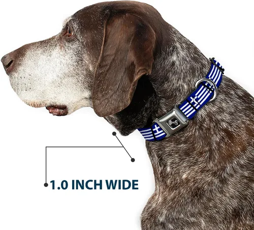 Miniatura 6 de Buckle-Down Collar de perro con hebilla de cinturón de seguridad, banderas de Grecia, 1 pulgada de ancho, se adapta a cuello de 9 a 15 pulgadas