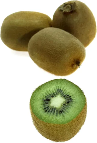 Miniatura 2 de Semillas de kiwi para plantar 50 Seeds Actinidia chinensis Seeds