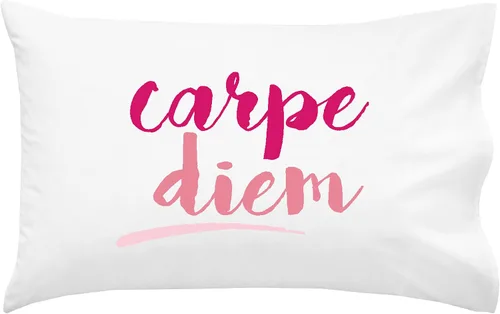 Miniatura 14 de Oh, Susannah Carpe Diem - Funda de almohada cursiva de 18 x 18 pulgadas, fundas de almohada inspiradoras doradas
