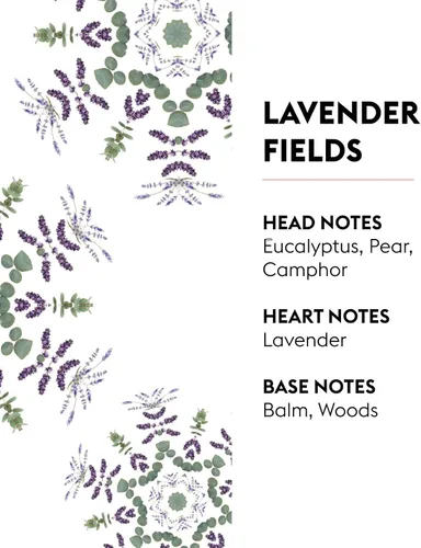 Miniatura 3 de Recambio de ramo perfumado - Campos de lavanda - 6.8 fl oz/6.76oz