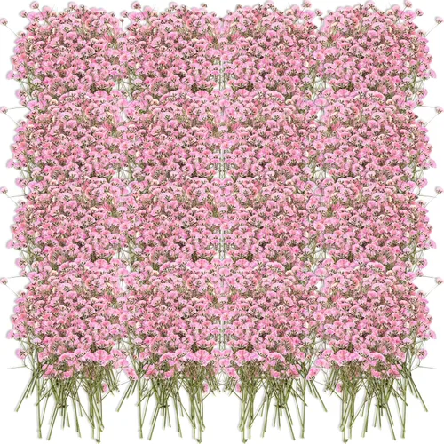 Tinideya 100 piezas de flores secas de aliento de bebé, flores reales prensadas de gypsophila natural para resina, boda, arte, manualidades, baby