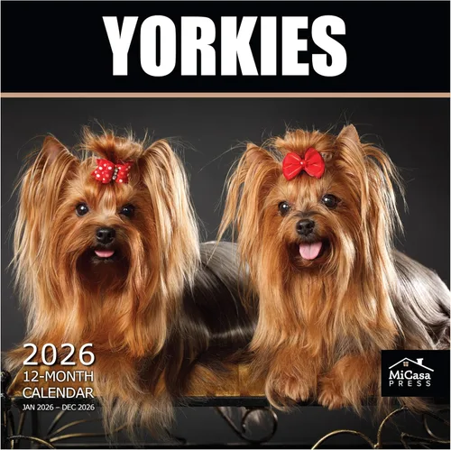 Miniatura 31 de MICASA PRESS Golden Retrievers 2026 - Calendario de pared de 12 meses, 12 x 24 pulgadas, abierto, papel grueso y resistente, para regalo, lindo