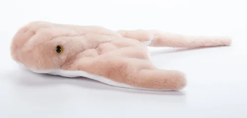 The Petting Zoo Cownose Ray - Peluche de peluche, regalos para niños, animales salvajes del océano Onez, juguete de peluche de rayas de 15 pulgadas