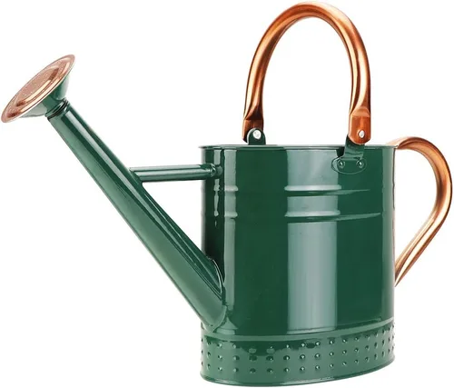 Miniatura 8 de Regadera de metal de 1 galón con boquilla extraíble, bonita lata de agua de acero galvanizado con diseño en relieve para plantas