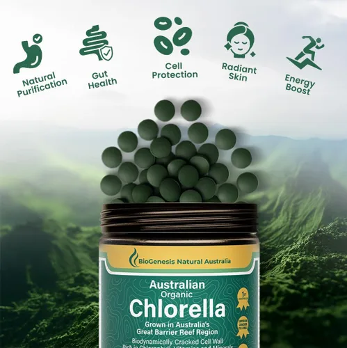 Miniatura 3 de Biogenesis Tabletas orgánicas de Chlorella – 300 unidades (500 mg) bayas mixtas Cultivado en Australia Pared celular agrietada BioDynamic Rico