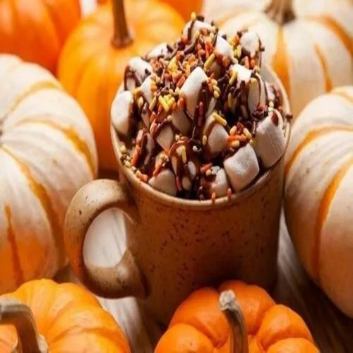 Miniatura 2 de Marshmallow Pumpkin Latte (nuestra versión del nombre de la marca) Aceite de fragancia (botella de 8 onzas) para hacer velas, fabricación de jabón