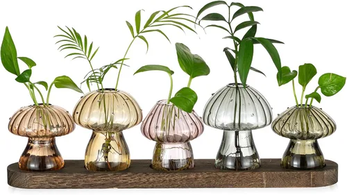 Miniatura 8 de Hewory Estaciones de propagación de vidrio para plantas: jarrones de hongos ámbar con soporte de madera para decoración del hogar - Jarrones