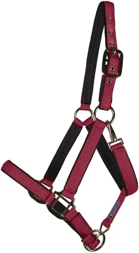 Miniatura 14 de Dura-Tech Cabestro de caballo de nailon totalmente acolchado Cabestro para caballo diseñado para evitar rozaduras Corona y bordillo de caballo