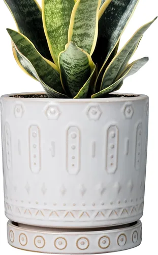 Miniatura 38 de Maceta de Cerámica Eightpot - Maceta de 20 cm para Interior con Agujeros de Drenaje y Platillo, Maceta Redonda para Exterior, Maceta Moderna de Azul