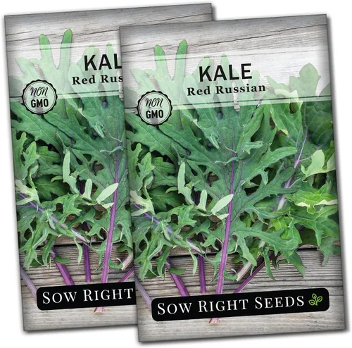 Miniatura 7 de Sow Right Seeds - Semillas rojas de col rizada rusa para plantar - Paquete de reliquia sin OMG con instrucciones para plantar un huerto casero