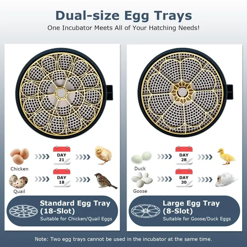 Miniatura 6 de Incubadoras para incubar huevos, incubadora de 18 huevos con vela de huevos, girador automático de huevos, control de temperatura y humedad, día