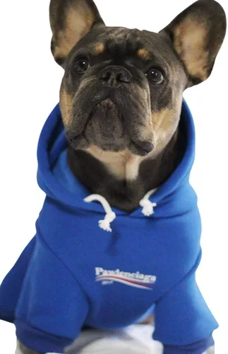 Miniatura 15 de ChoChoCho Sudadera con capucha y suéter para perros – Elegante ropa urbana de algodón para gatos y cachorros en gris – S, M, L
