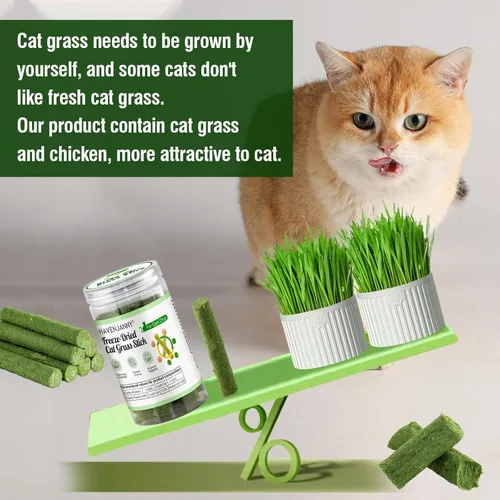Miniatura 7 de Palillo de dentición de hierba para gatos, palo de hierba de gato enlatado para gatos de interior, gatos trata alivio de bolas de pelo y limpieza