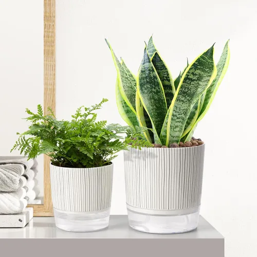 Miniatura 5 de Macetas de riego automático para plantas de interior, macetas, maceta de riego automático, 2 piezas de 4 + 5.3 pulgadas, rayas negras