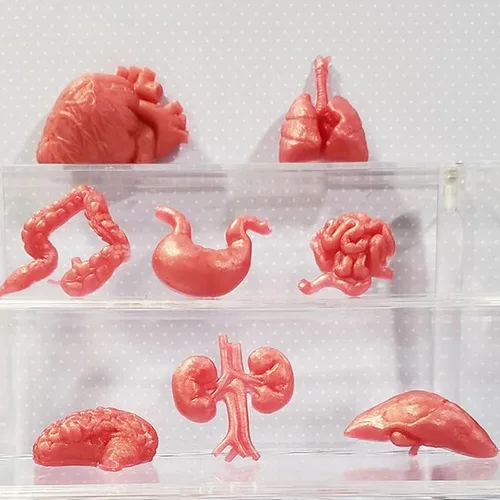 Miniatura 7 de Moldes de silicona para órganos humanos, 8 unidades para Halloween, corazón, cerebro, hígado, estómago intestinal, moldes de fondant de chocolate