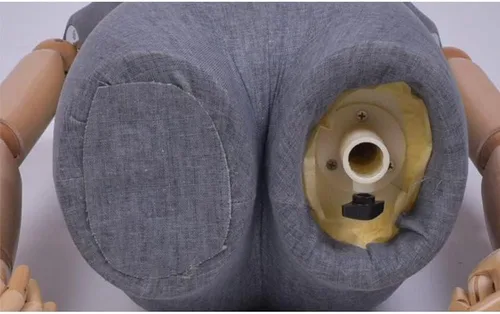 Miniatura 2 de Cuerpo de maniquí femenino, maniquí de costura, torso, maniquí masculino y femenino, forma de vestido de maniquí de altura ajustable