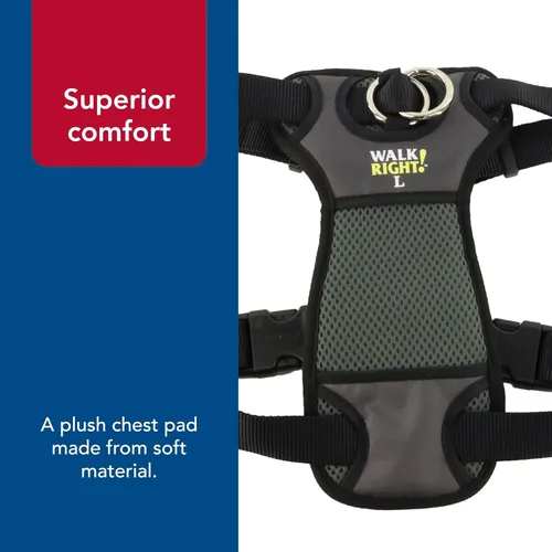 Miniatura 7 de Coastal Pet Walk Right - Arnés acolchado para perro con conexión frontal y sin tirones, ajustable y cómodo, ajuste para razas pequeñas y grandes