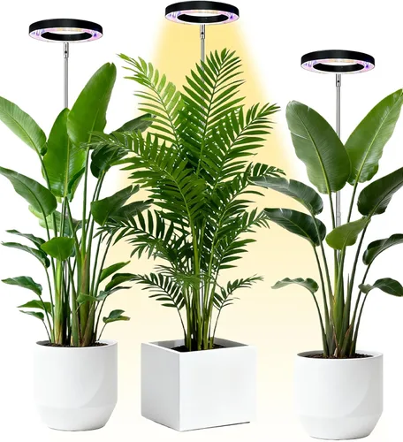 Miniatura 11 de Yadoker - Luz de cultivo LED de espectro completo para plantas de interior, lupa negra, altura ajustable, temporizador automático, bajo voltaje