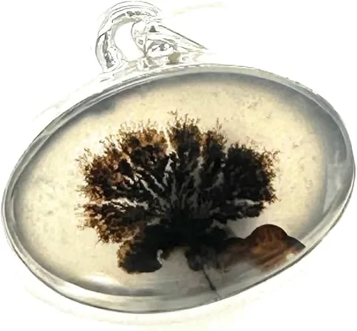 Miniatura 7 de Rare Scenic Dendritic Agate 925 Solid Sterling Silver Pendant 25mm