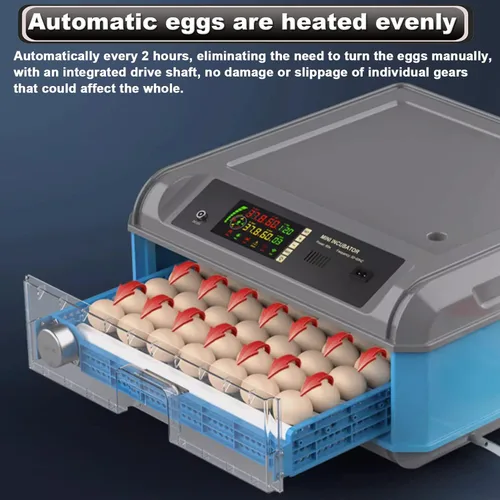 Miniatura 5 de Incubadora de huevos, incubadora de huevos 192/256/500, máquina para criar aves de corral con giro automático de huevos, control de temperatura