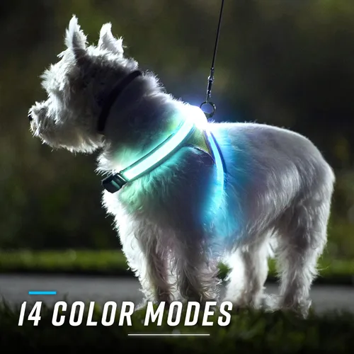 Miniatura 4 de Noxgear lighthound Revolucionario iluminado y reflectante arnés para perros incluso multicoloreado fibra óptica LED