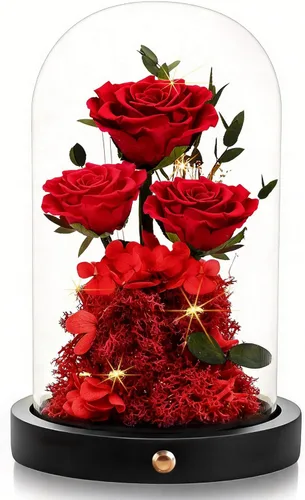 DENIMOMO Rosas para el día de la madre, rosas preservadas rojas en cúpula de cristal, rosas reales para el día de la madre, regalos para esposa,