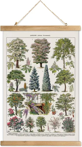 Miniatura 12 de XIAOAIKA Póster Educativo de Vida Silvestre de Seto Británico - Cuadro Ilustrado de la Naturaleza con Marco de Madera - Arte de Pared de Animales