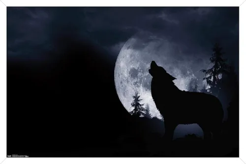Miniatura 16 de Trends International Póster de pared de lobo - aullido, 14.725 x 22.375 pulgadas, versión enmarcada de madera de granero