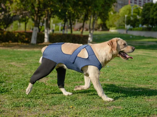Miniatura 6 de Manga de recuperación de pierna trasera para perro, traje de recuperación transpirable para dejar de lamer y morder firme y seguro