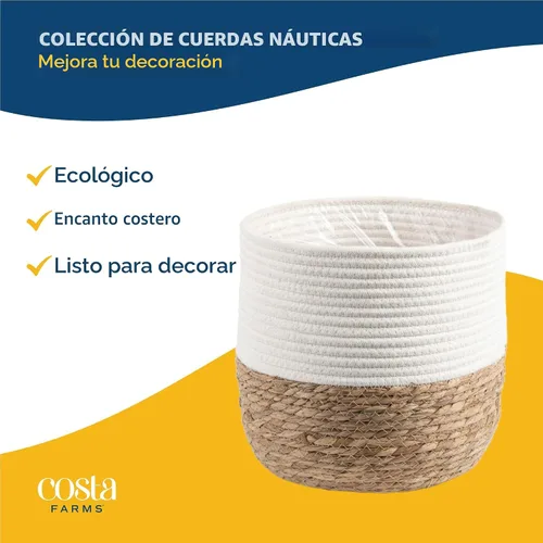 Miniatura 5 de Costa Farms - Planta interior, filodendro de hoja partida, monstera deliciosa Maceta decorativa