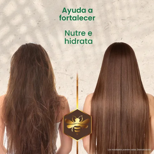 Miniatura 4 de Set de Champú y Acondicionador Anti-Caída de Pelo Tío Nacho con Hierbas Mexicanas, Jalea Real y Extracto de Romero, Rutina Fortalecedora y Nutritiva