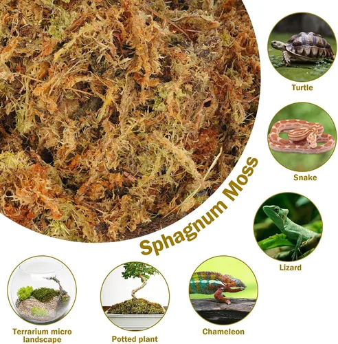 Miniatura 4 de Hourleey Musgo de esfagnum para plantas, maceta de musgo seco de fibra larga natural de alta calidad, musgo de turba esfagnum a granel