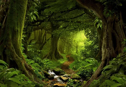 Miniatura 2 de Bormia Bosque de Fantasía - Mural de pared de 151 x 105 pulgadas, papel pintado fotográfico grande, adhesivo de pared para sala de estar y 004