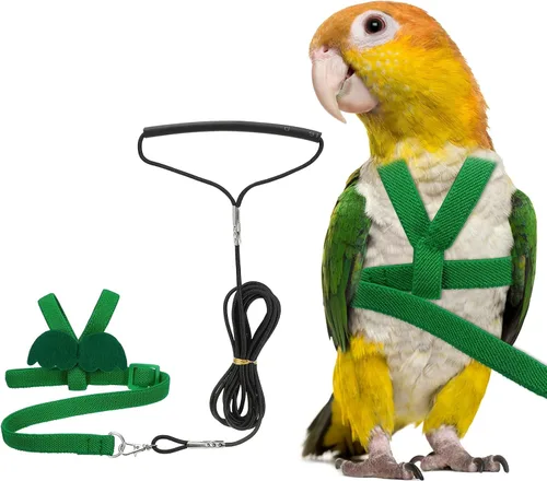 Miniatura 11 de Correa de arnés para pájaros, arnés ajustable para pájaros y loros para mascotas, ligera, antimordeduras, cuerda de entrenamiento de vuelo con linda