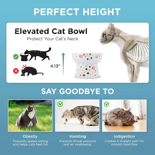 Miniatura 5 de Necoichi Tazón de agua elevado para gatos – Cuenco elevado de cerámica para gatos, previene la fatiga del cuello y de los bigotes – Apto para Sakura