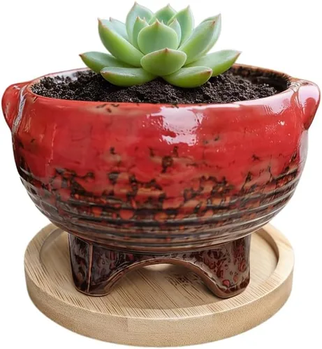 Miniatura 49 de Bonita maceta circular de cerámica para decoración del hogar y jardín, suculentas, cactus, maceta no incluida (azul, 3.19 pulgadas)
