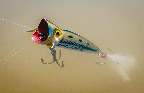 Miniatura 2 de Rebel Lures Pop-R Topwater Popper - Señuelo de pesca