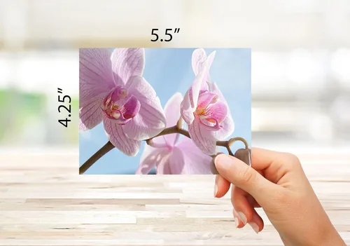 Miniatura 3 de Small World Greetings - Tarjetas de felicitación de orquídeas, 24 unidades, fotografía de orquídeas reales, interior en blanco con sobres, tamaño A2